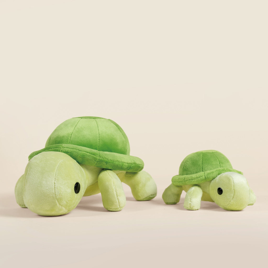 Mini Torti the Tortoise