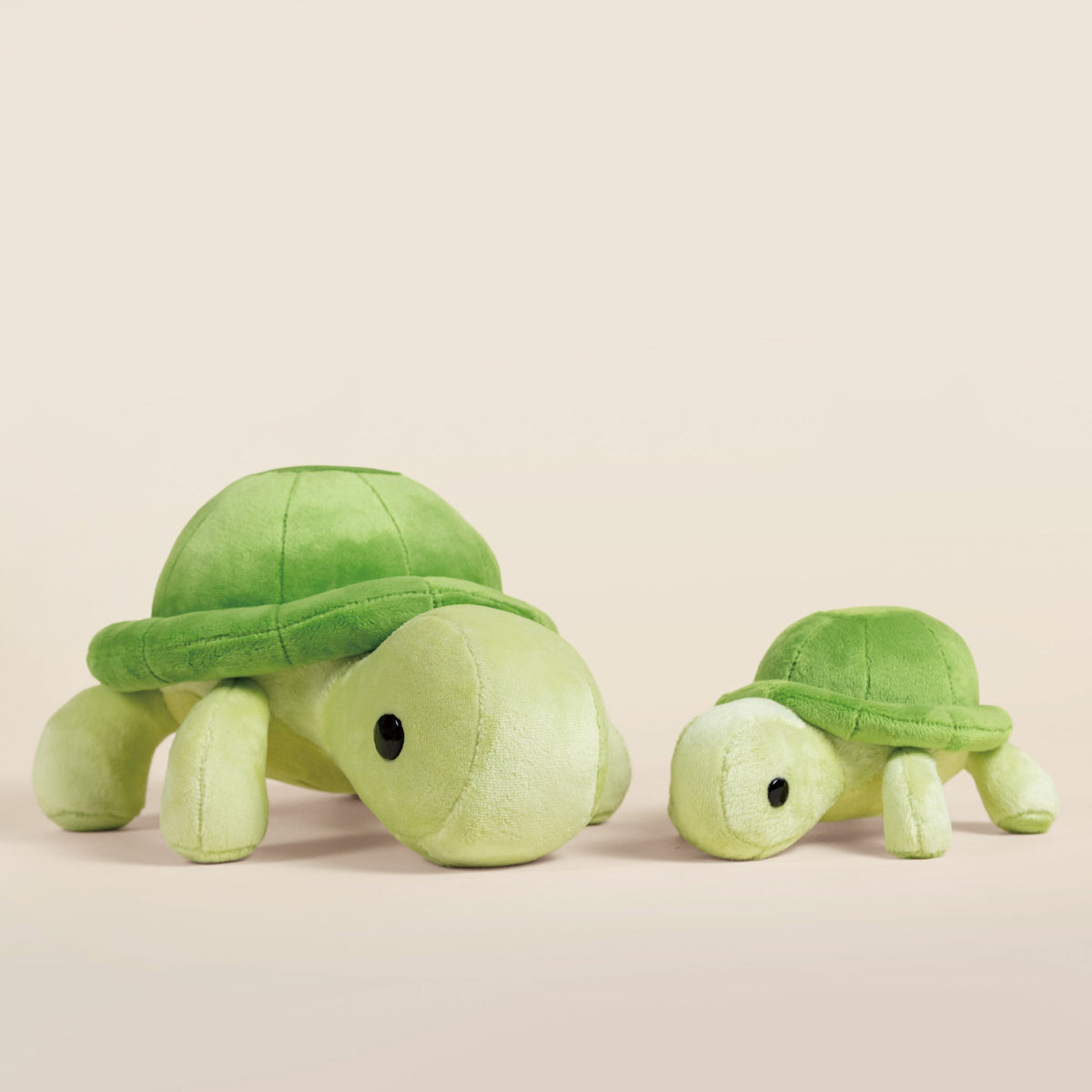 Mini Torti the Tortoise