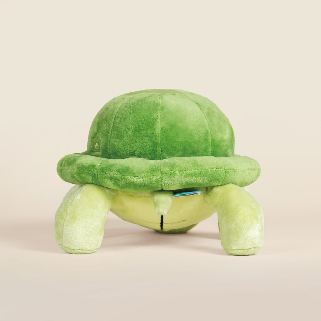 Torti the Tortoise