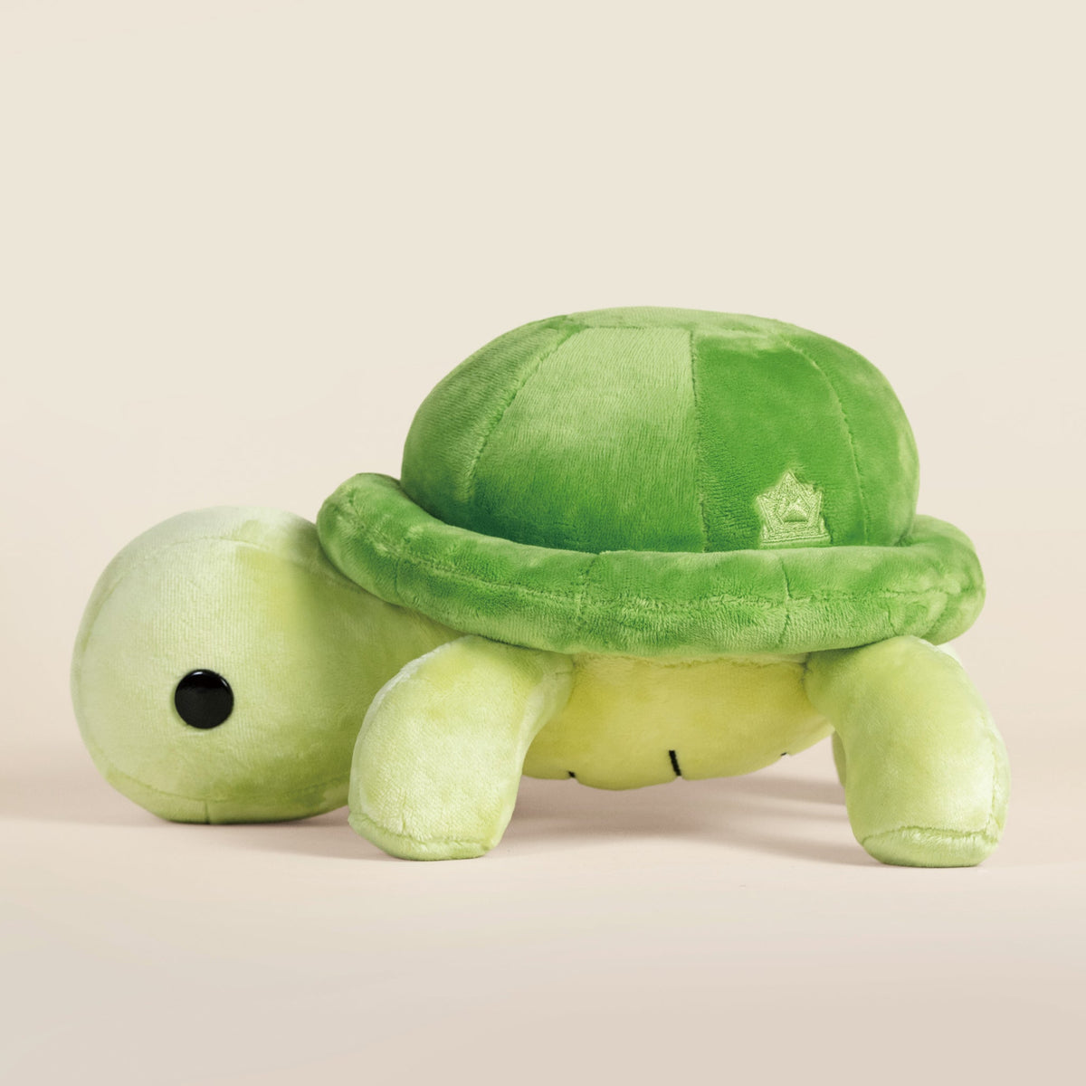 Torti the Tortoise
