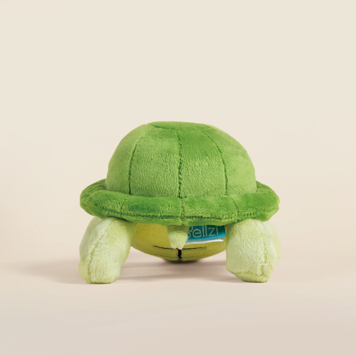 Mini Torti the Tortoise