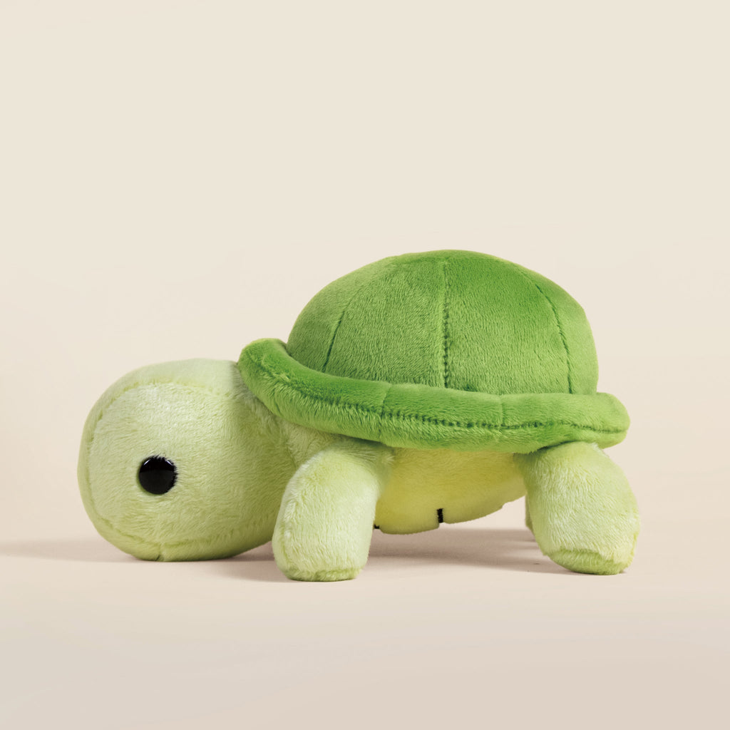 Mini Torti the Tortoise