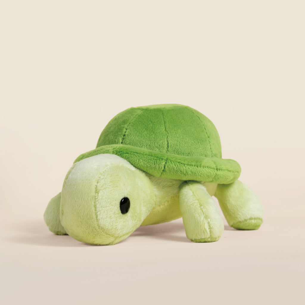 Mini Torti the Tortoise