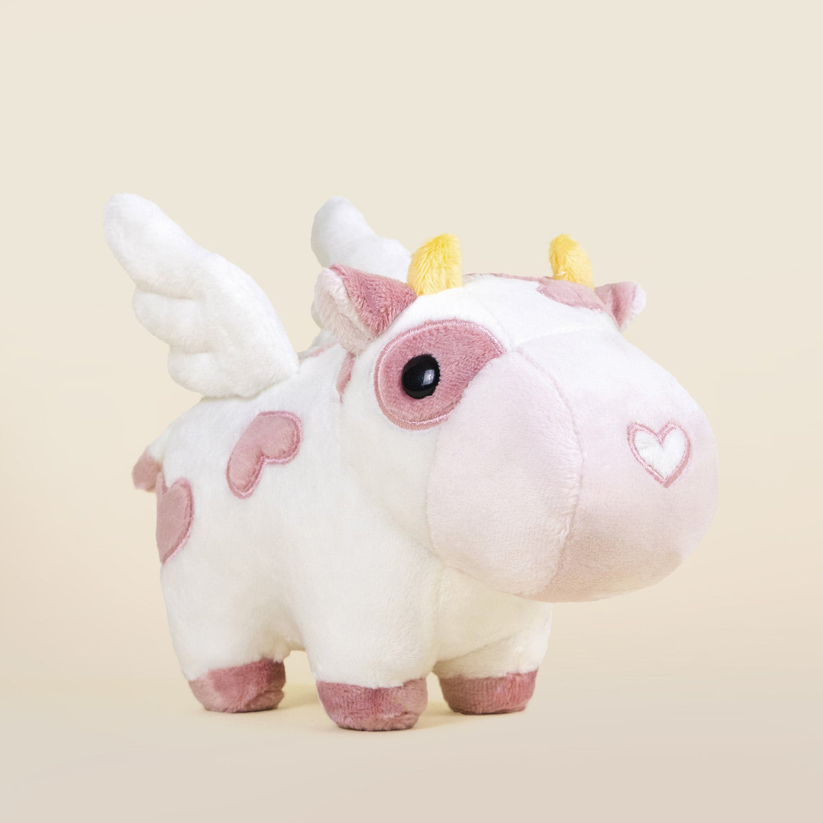 Mini Valentine Mooi