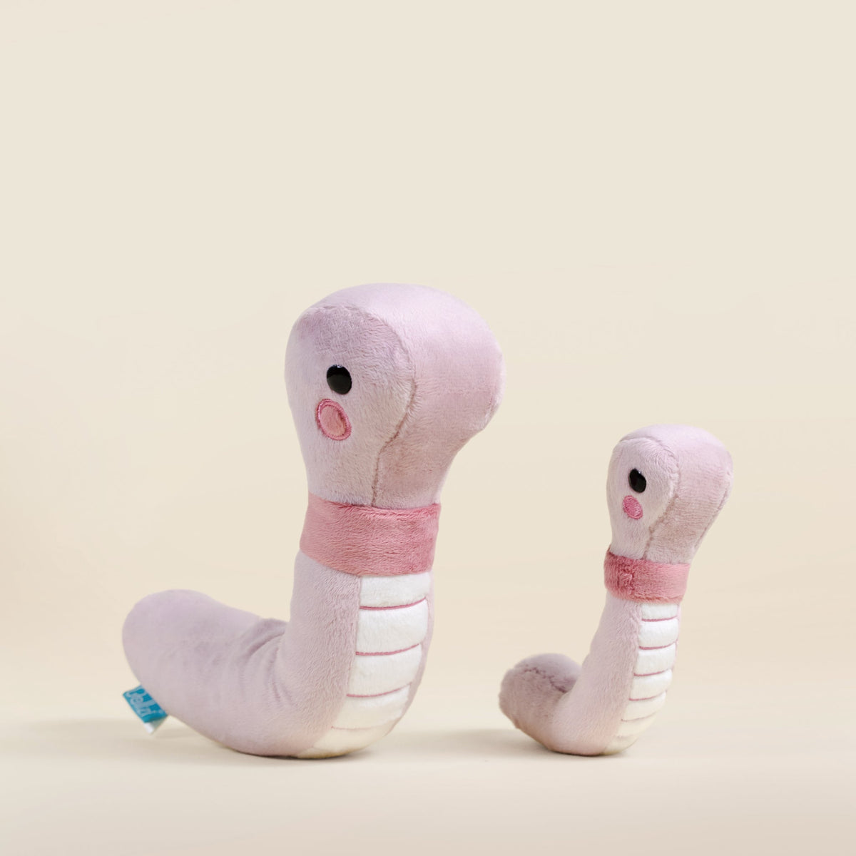 Mini Wormi the Worm