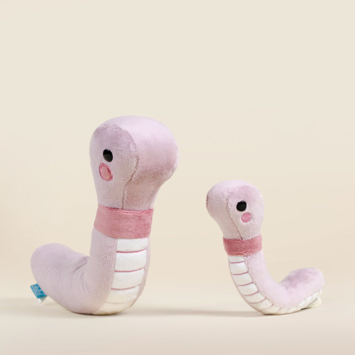 Mini Wormi the Worm