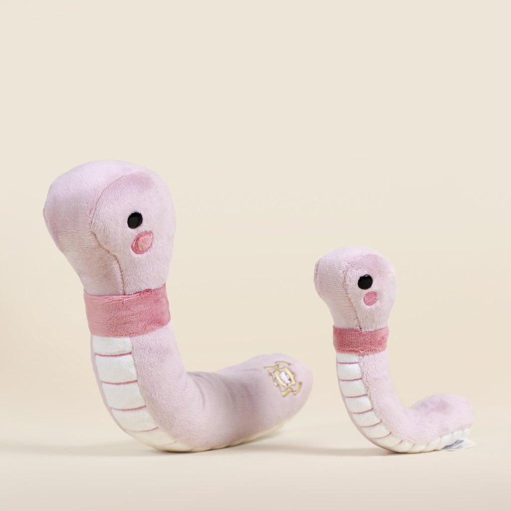 Mini Wormi the Worm