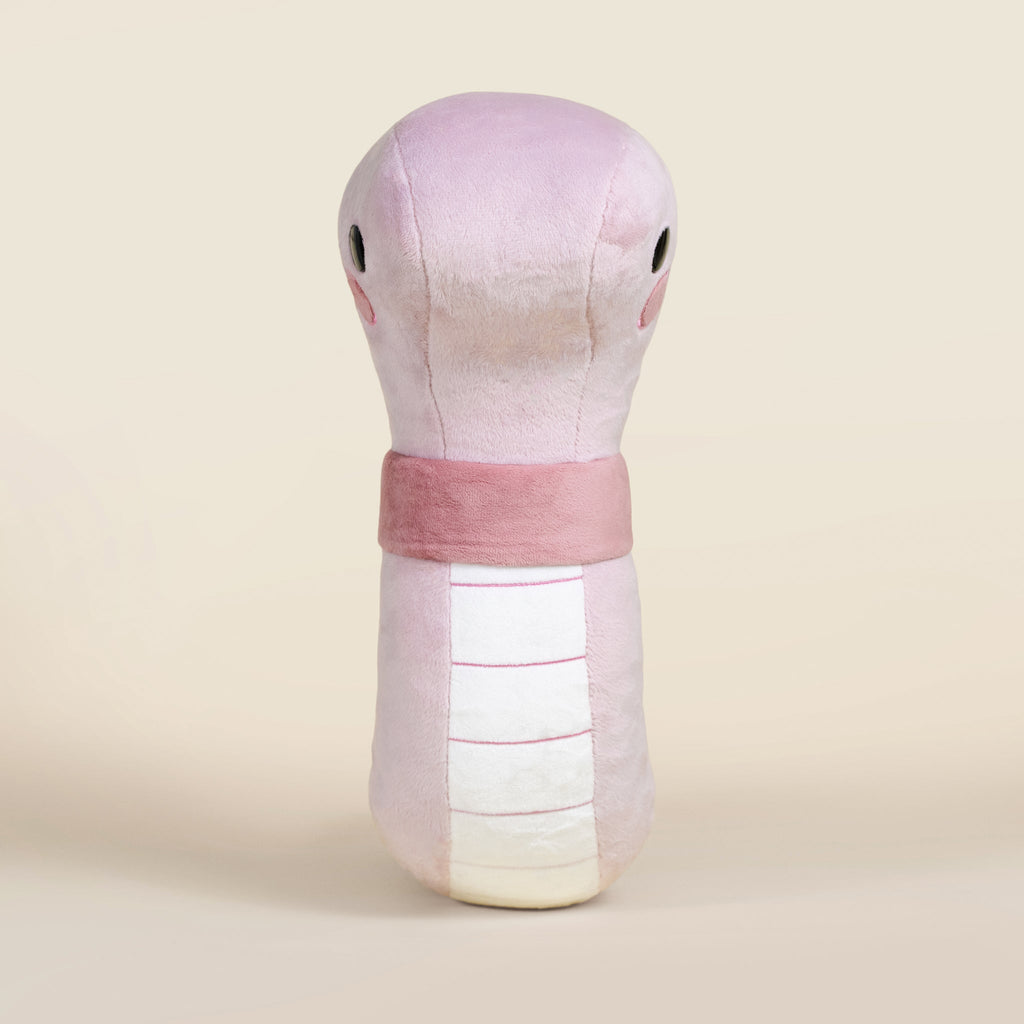 Giant Wormi the Worm