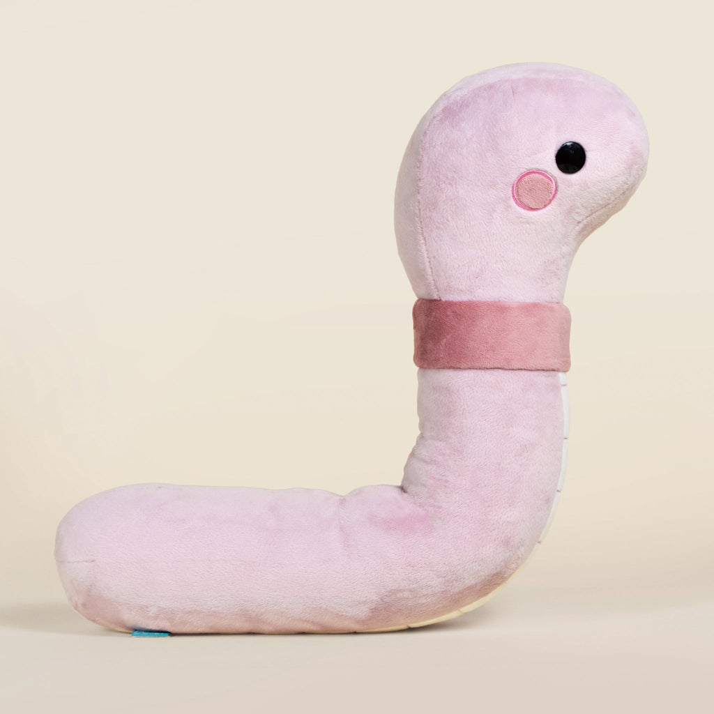 Giant Wormi the Worm