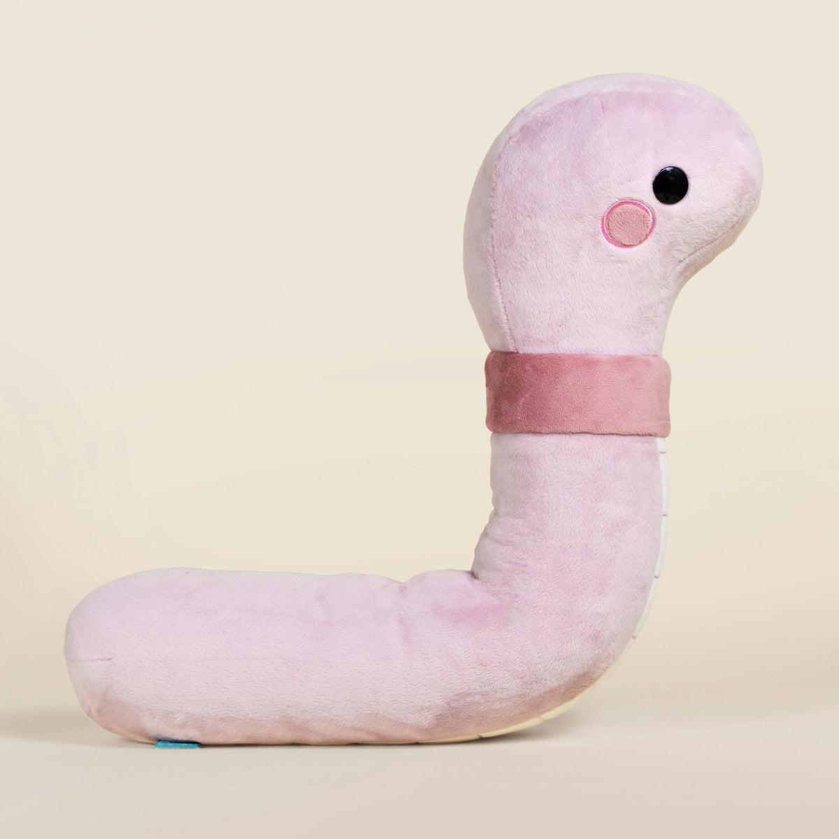 Giant Wormi the Worm