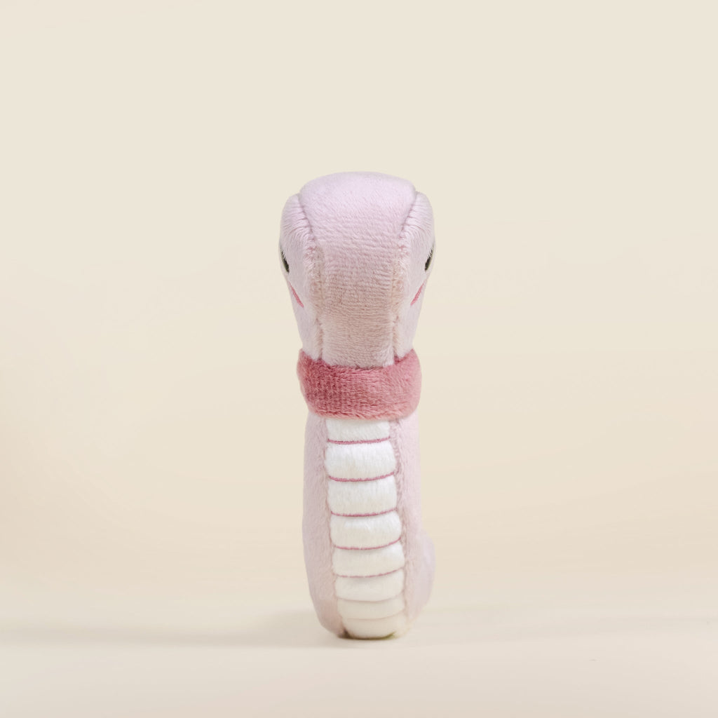 Mini Wormi the Worm