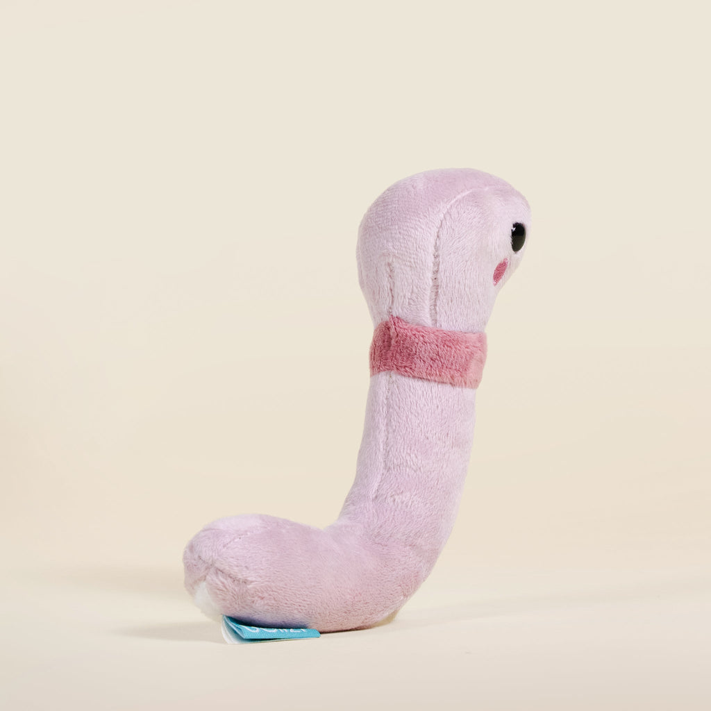 Mini Wormi the Worm