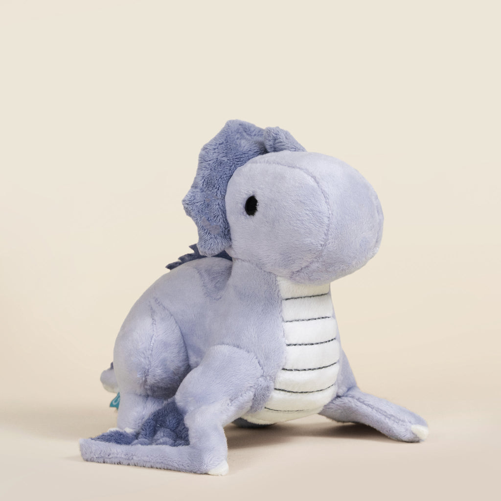 Mini Wyveri the Wyvern