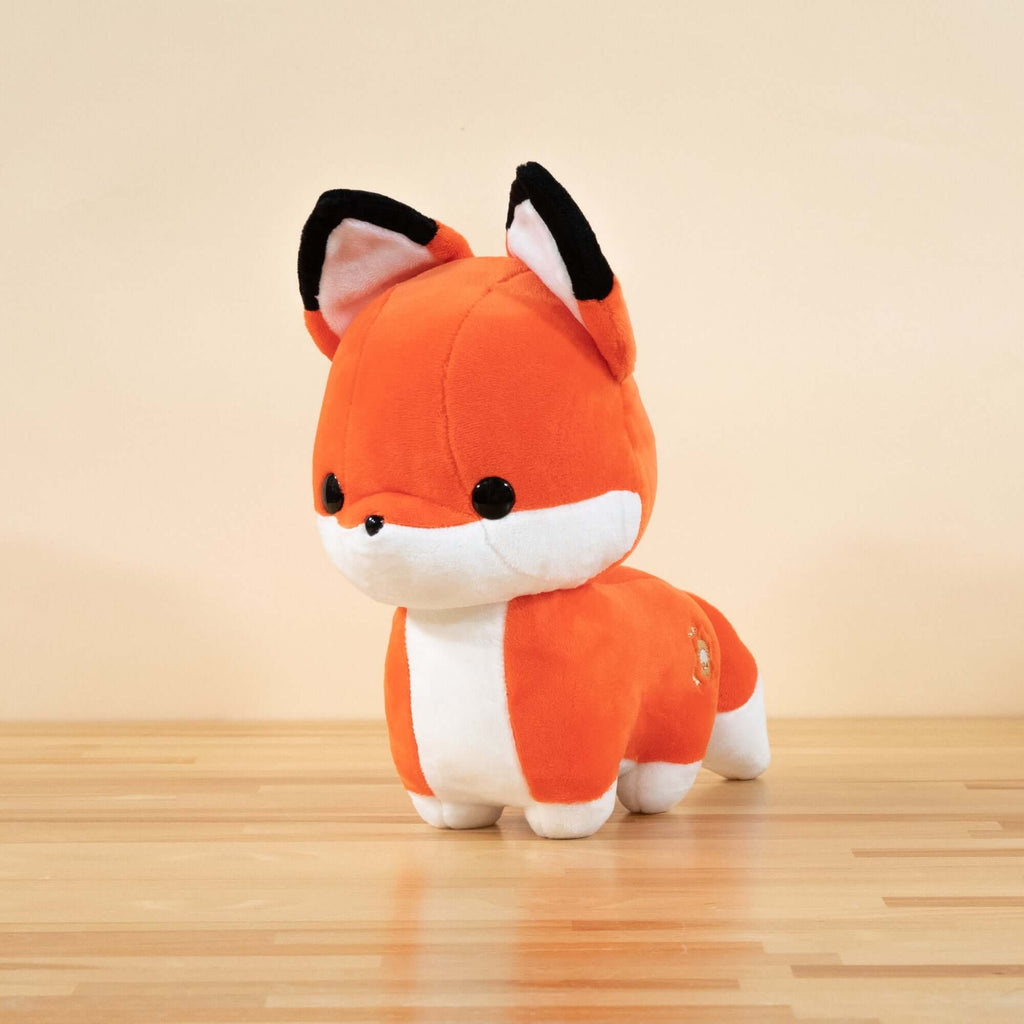 Foxxi Bundle