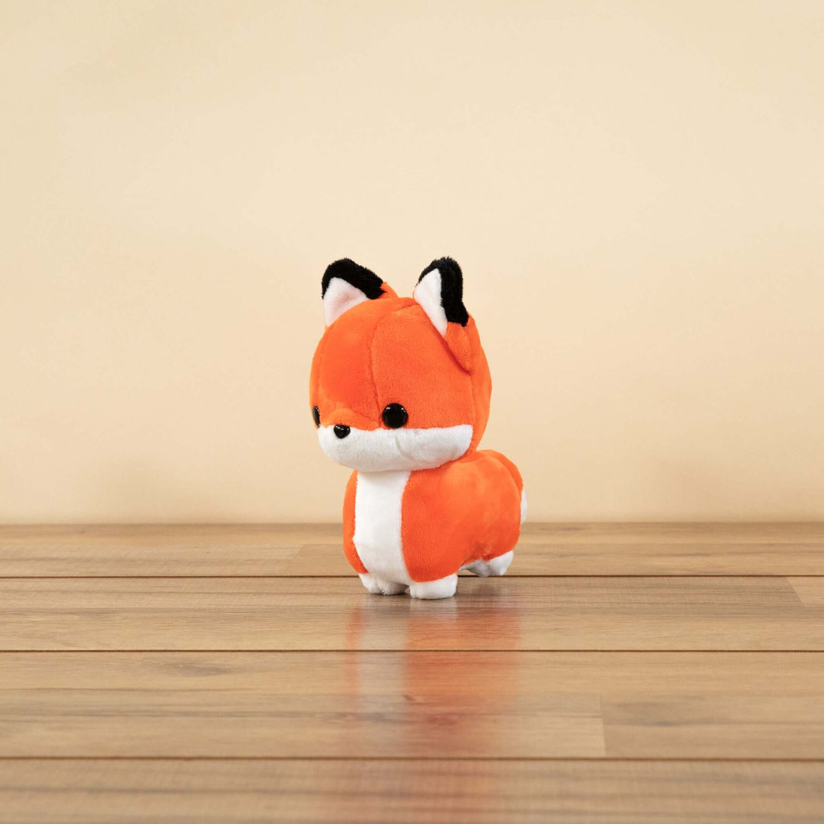 Foxxi Bundle