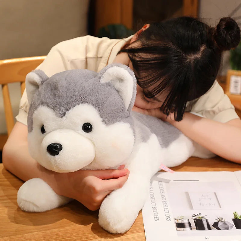 Adorable Soft Plush Husky - Cuddle Up with Cutie!