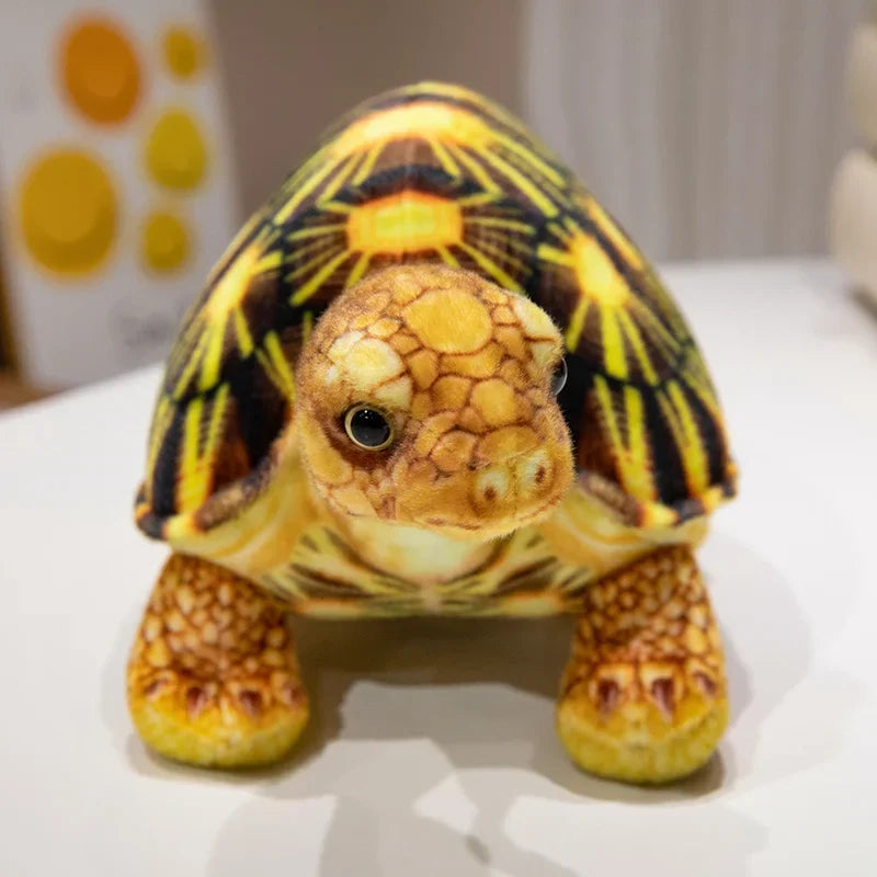 Adorable Realistic Tortise Plush Toy
