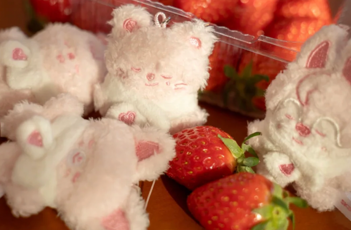 SKZOO Secret Plush Micro 6th Fanmeeting - view 10