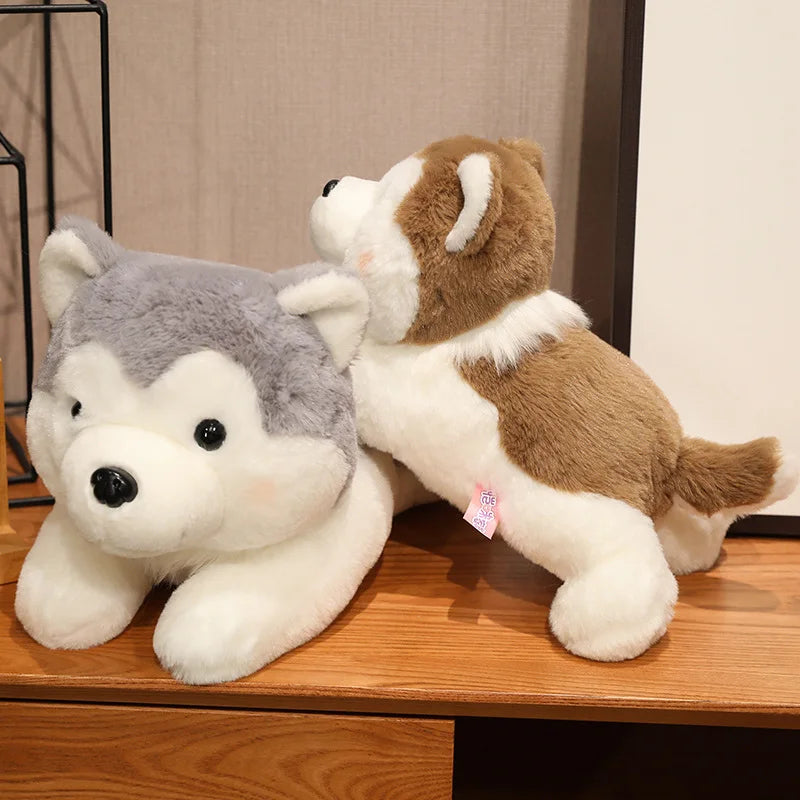 Adorable Soft Plush Husky - Cuddle Up with Cutie!