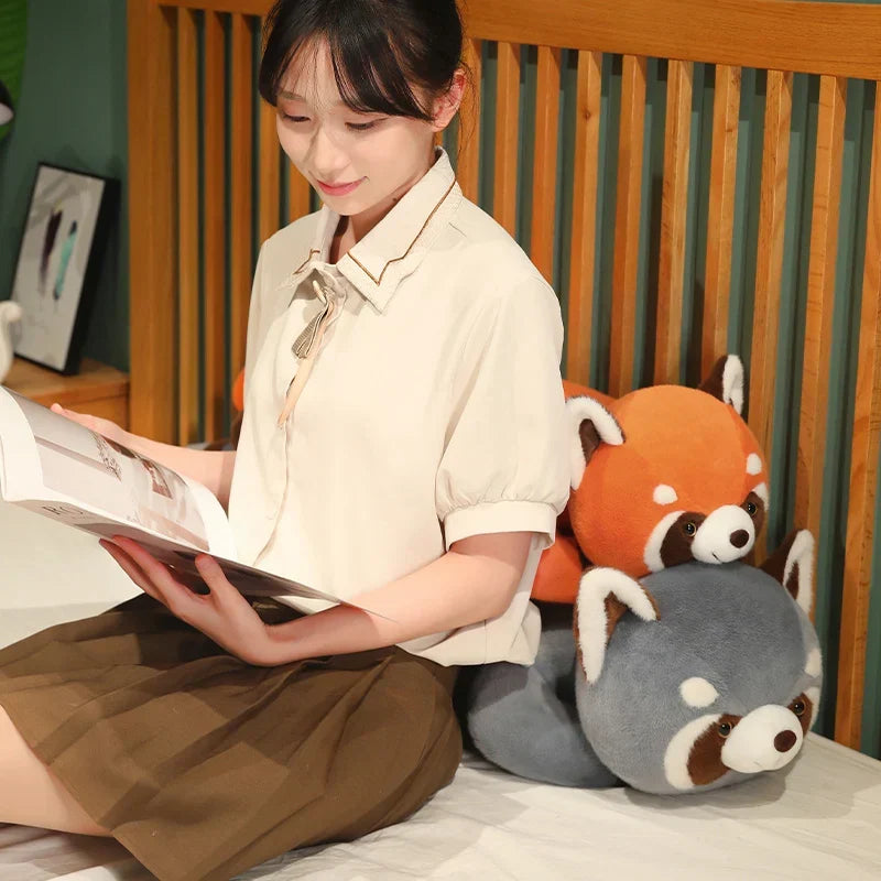 Adorable Bushy & Buster Plush Raccoons - Your Cuddly Friends with a Twist!