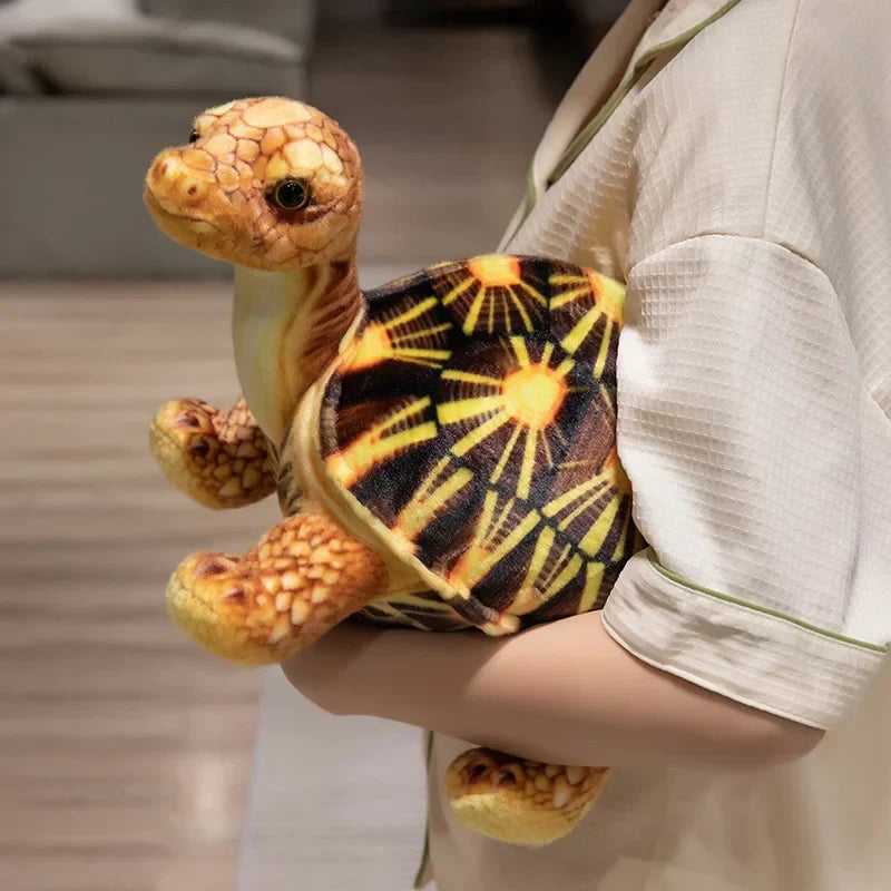 Adorable Realistic Tortise Plush Toy