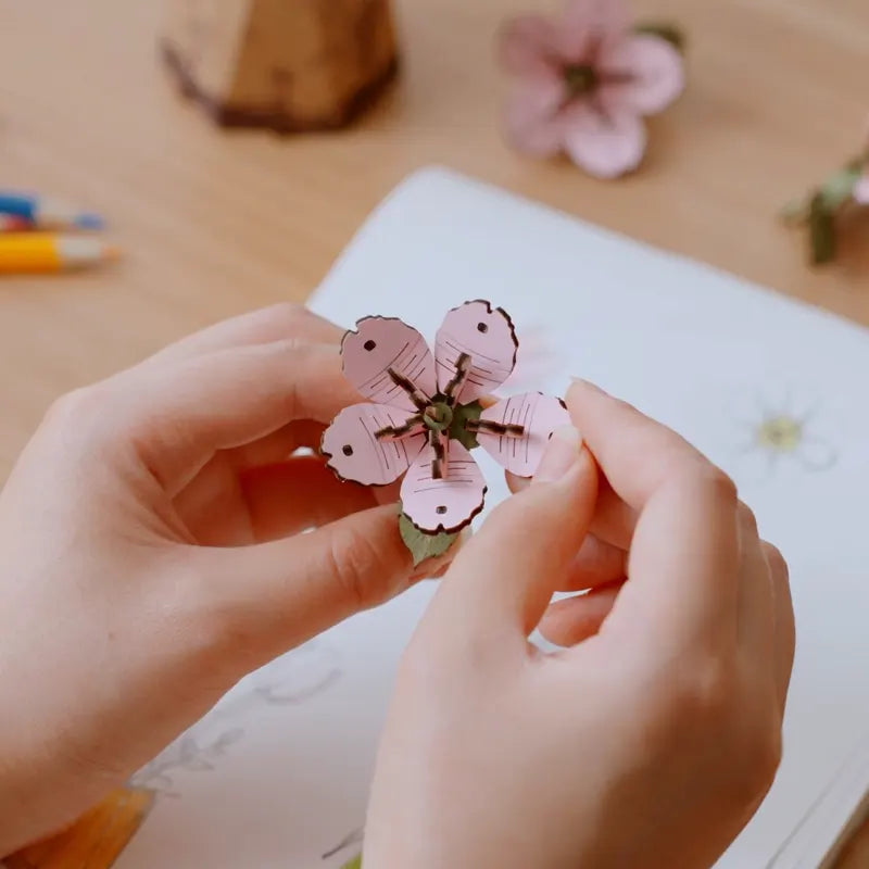 Robotime Rowood Bloom Sakura TW101