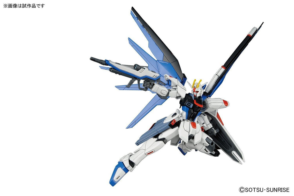 HG ZGMF-X10A Freedom Gundam 1/144