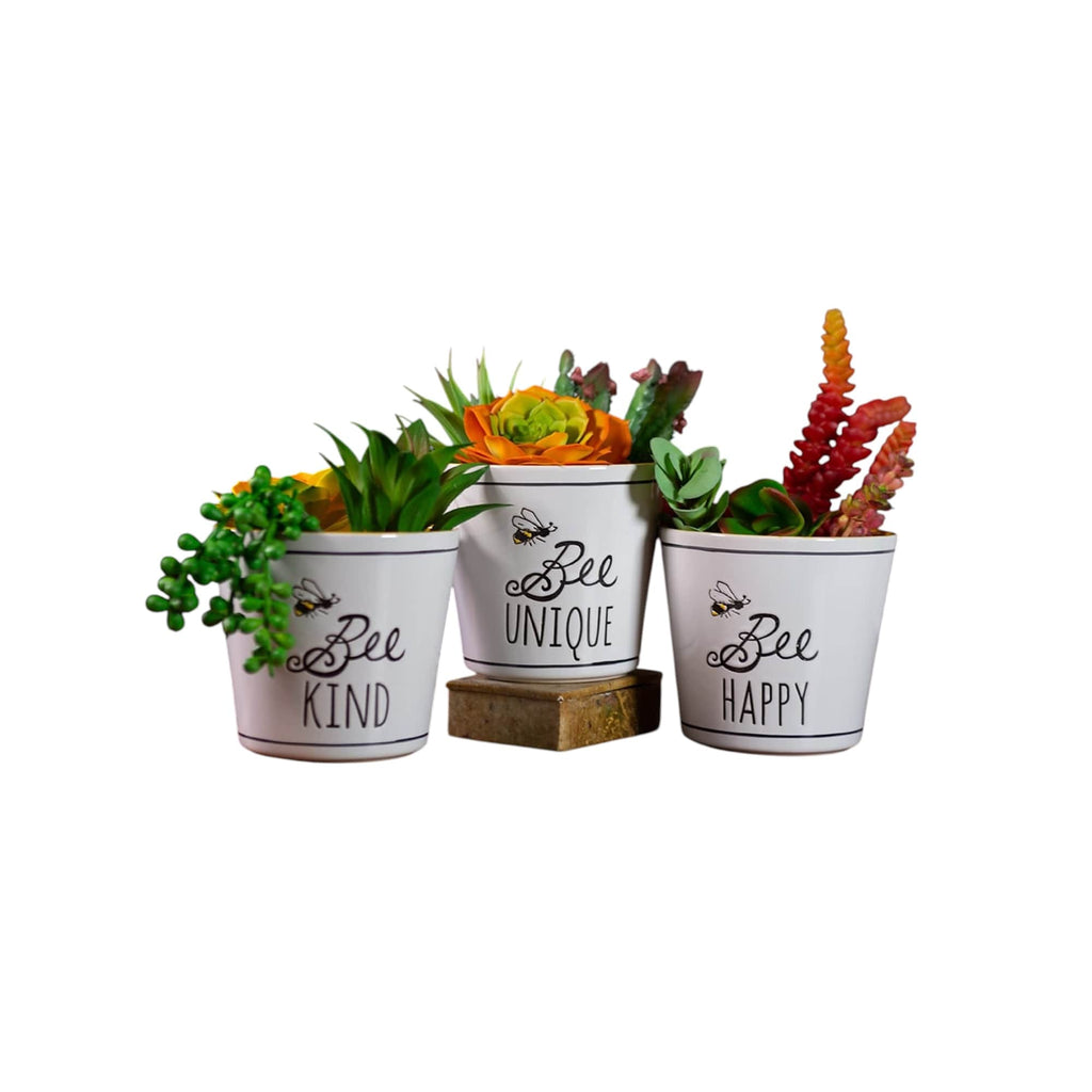 Bee Buzz Planters 5", 3 Asst
