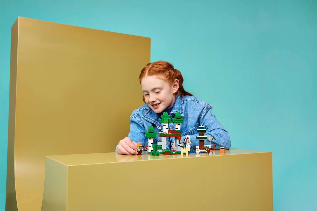 21593 Lego Minecraft Aventure de la première nuit