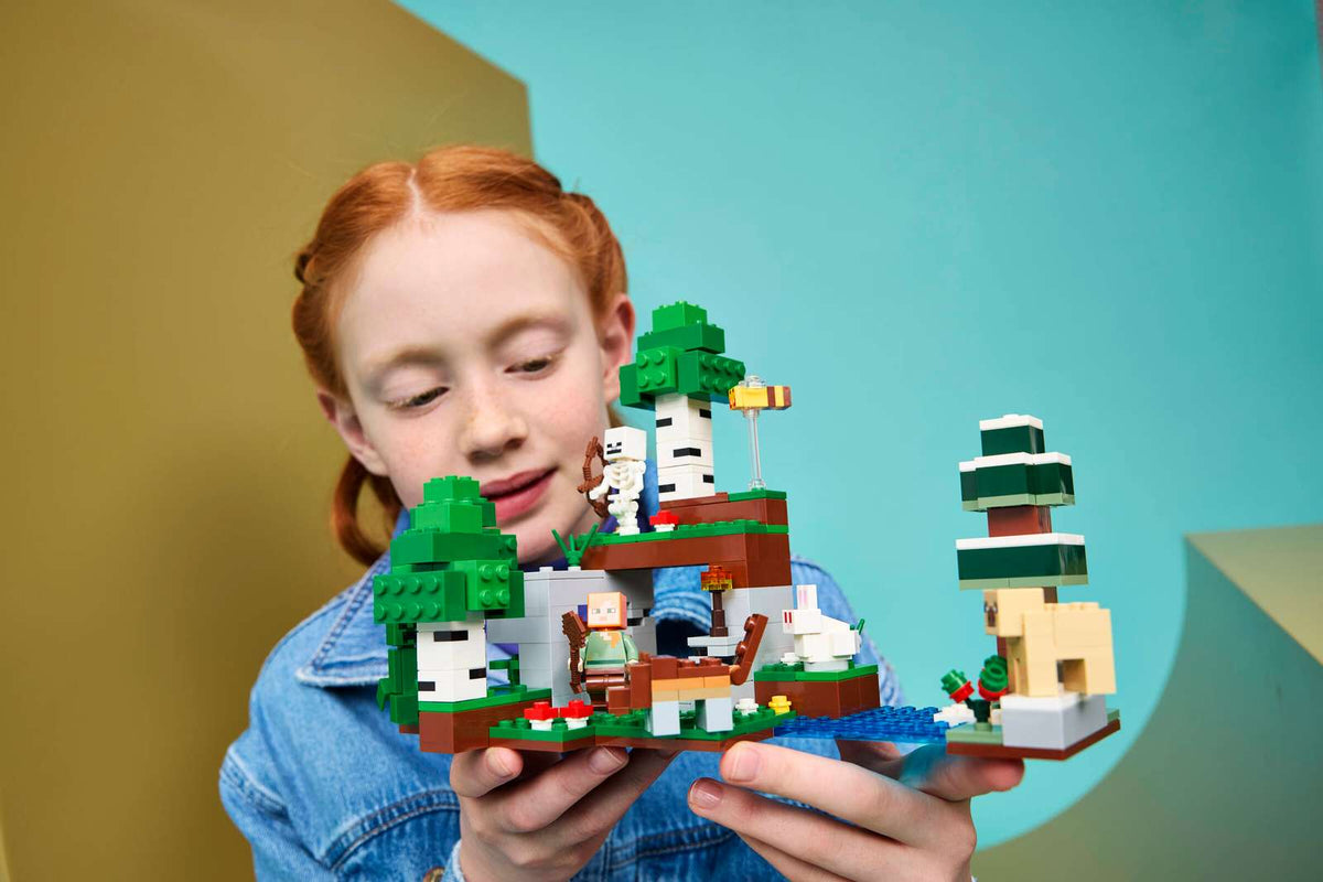 21593 Lego Minecraft Aventure de la première nuit