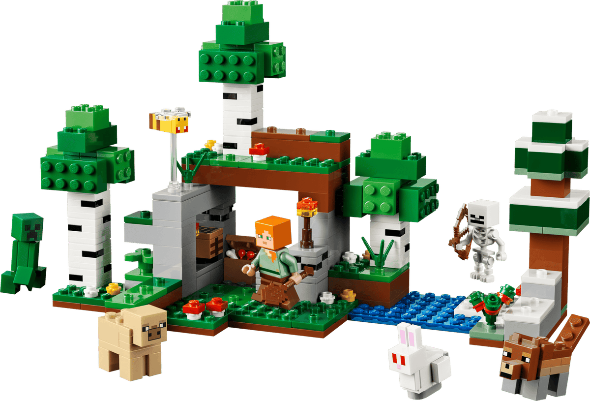 21593 Lego Minecraft Aventure de la première nuit