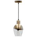 River of Goods Clear Glass Hanging Lamp