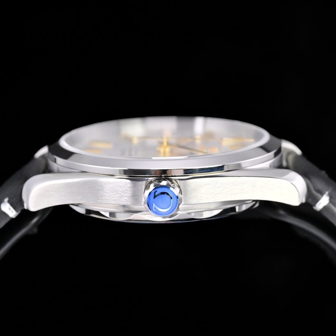 Omega Seamaster Aqua Terra – Steel Silver Sunburst Dial Yellow Gold Indices Arrow Hands Date Black Leather Strap