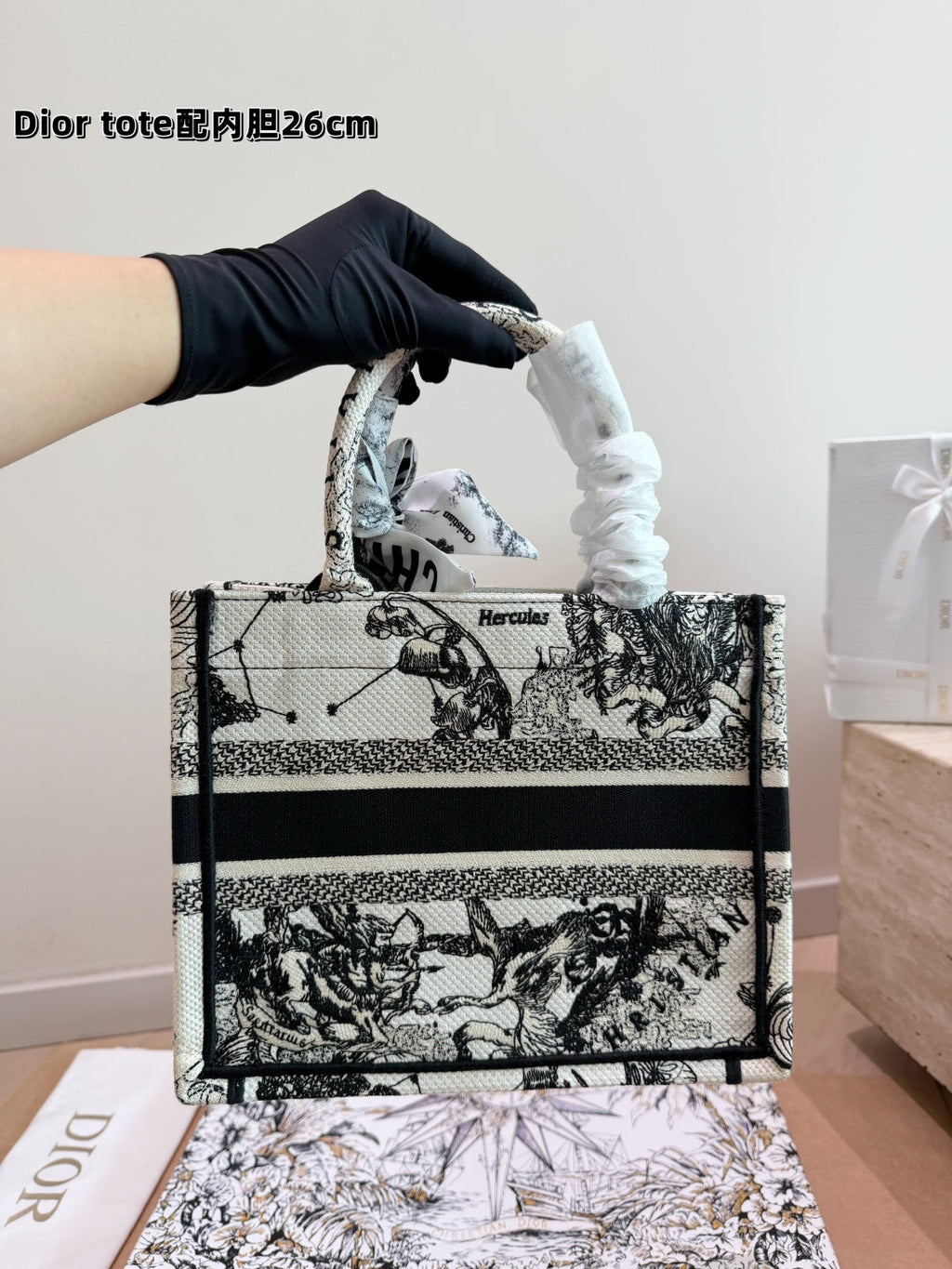Christian Dior Book Tote – White Hercules Embroidery