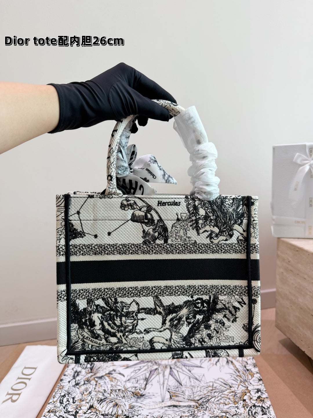 Christian Dior Book Tote – White Hercules Embroidery