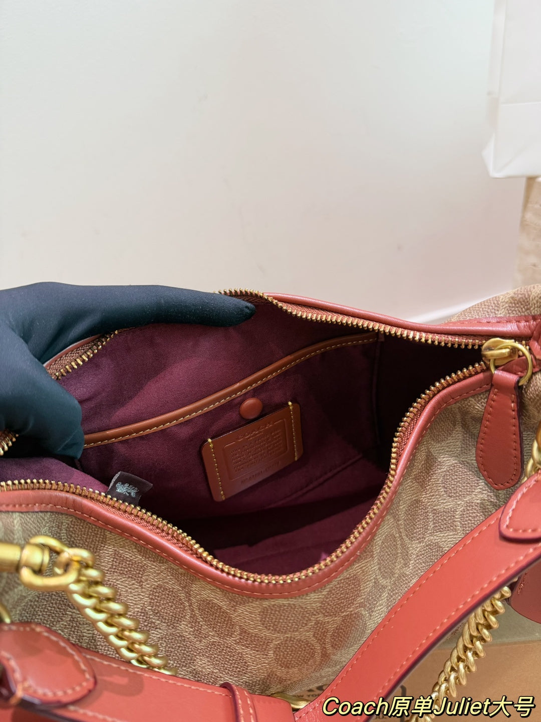 Coach Signature Canvas Hobo Bag – Tan Saddle