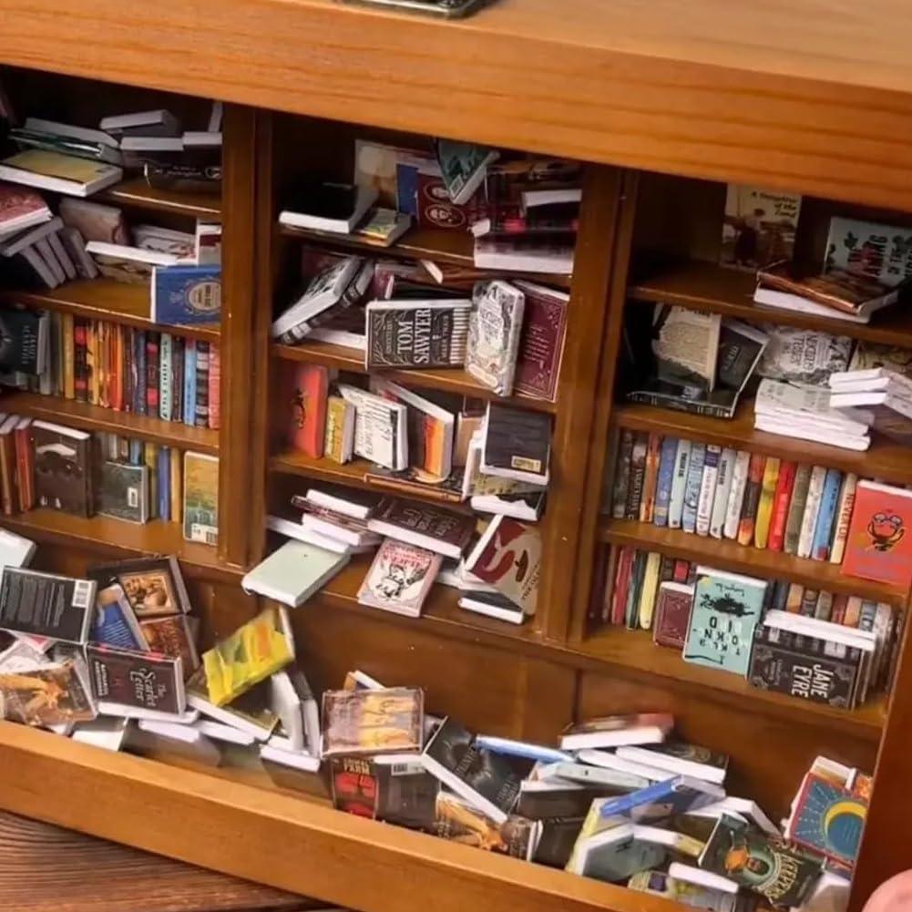 Anxiety Bookshelf with 260 Mini Books