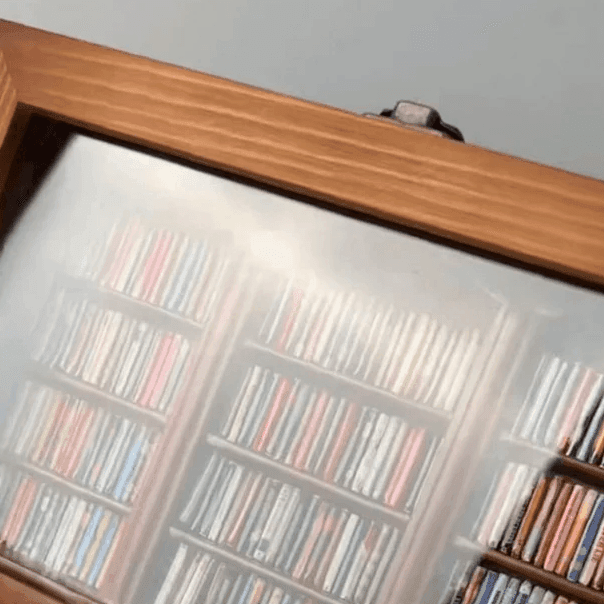Anxiety Bookshelf with 260 Mini Books