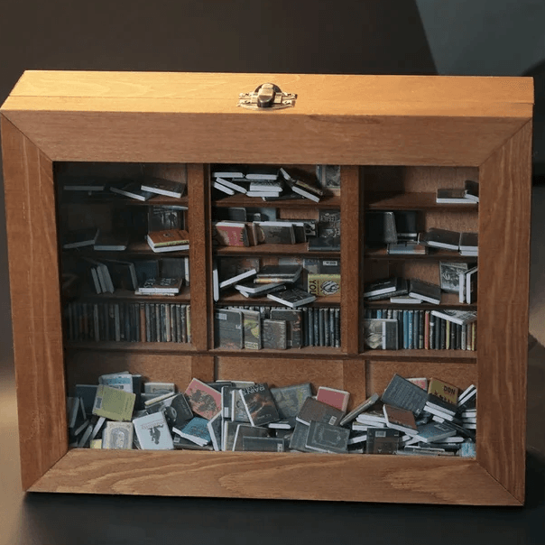 Anxiety Bookshelf with 260 Mini Books
