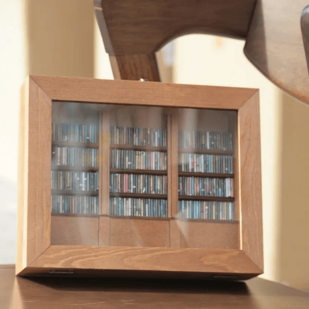 Anxiety Bookshelf with 260 Mini Books