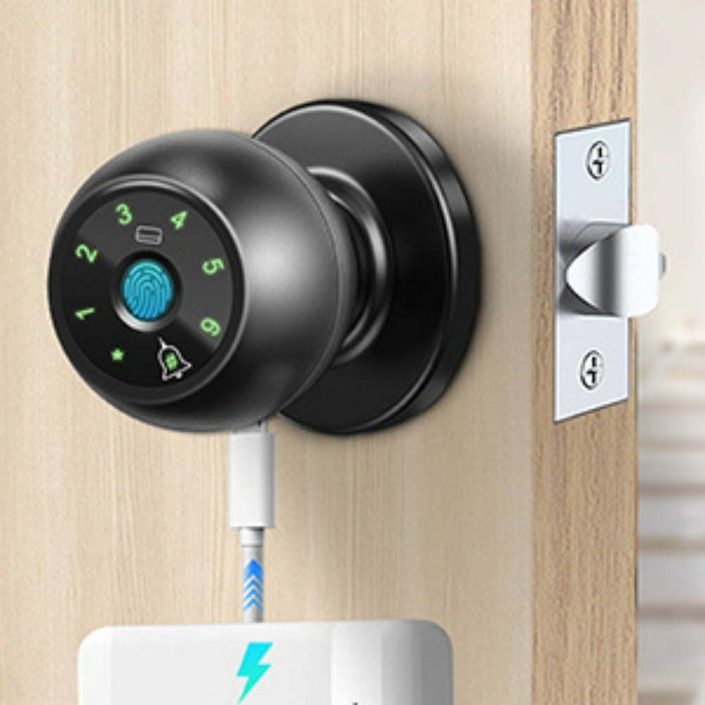 Smart Door Lock Tuya Five-Method Spherical Knob with Fingerprint App IC Card Password and Key