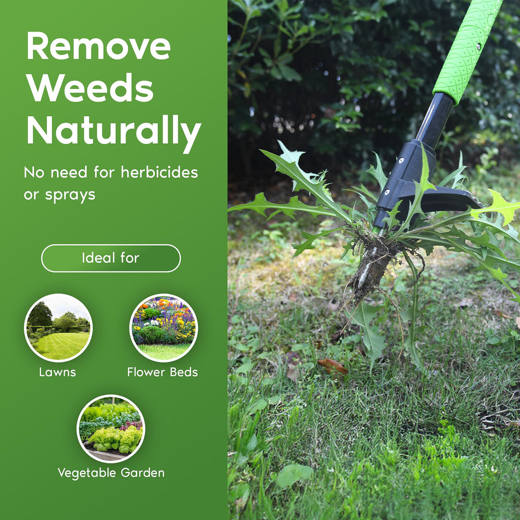 Garden Guru Standing Weeder Tool