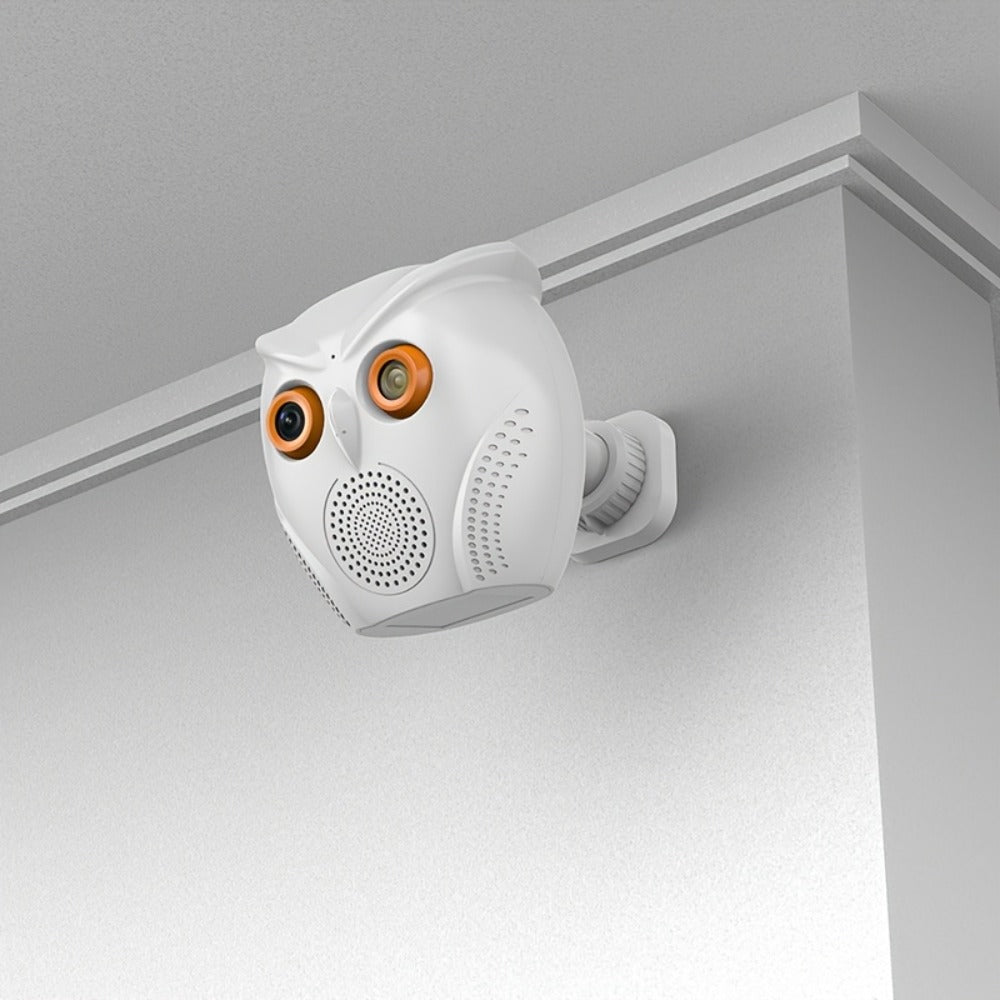 Security Camera Owl-Shaped Two-Pack with Human Detection, USB Power, Motion Alarm and Black or White Options