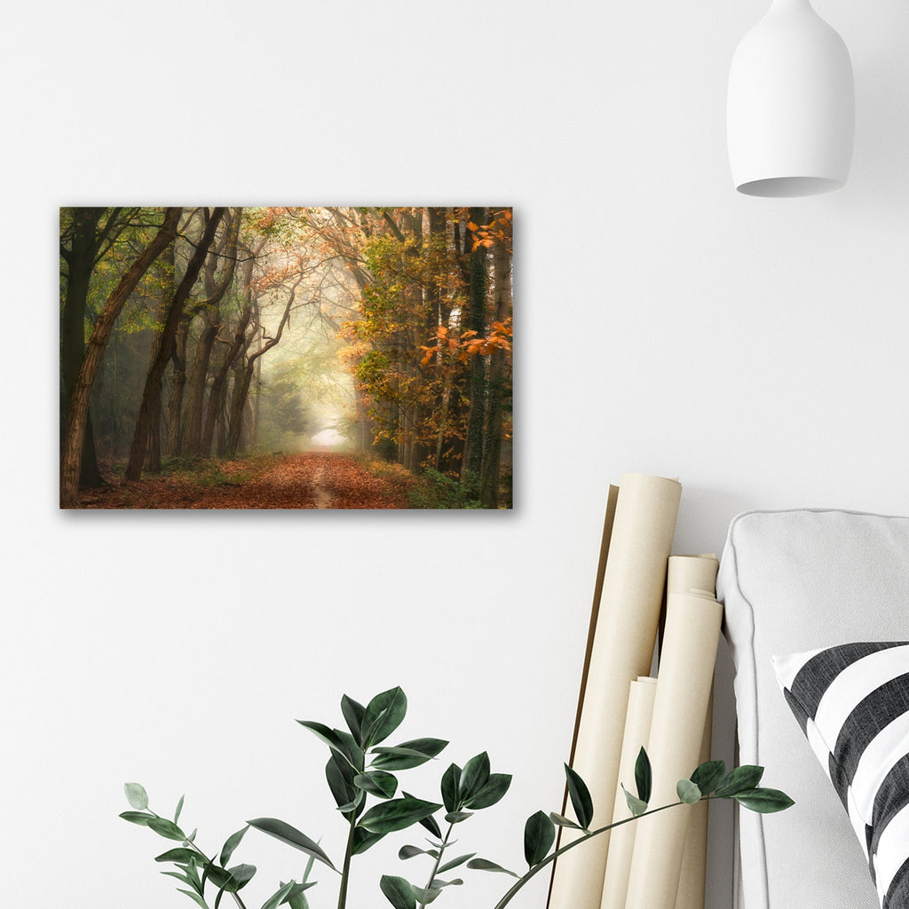 Walk in the Woods Gallery-Wrapped Canvas Wall Art
