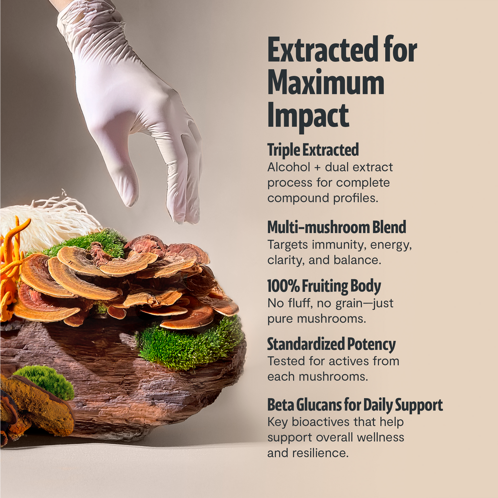 Organic Mushroom Complex Supplement Capsules Daily Wellness Formula