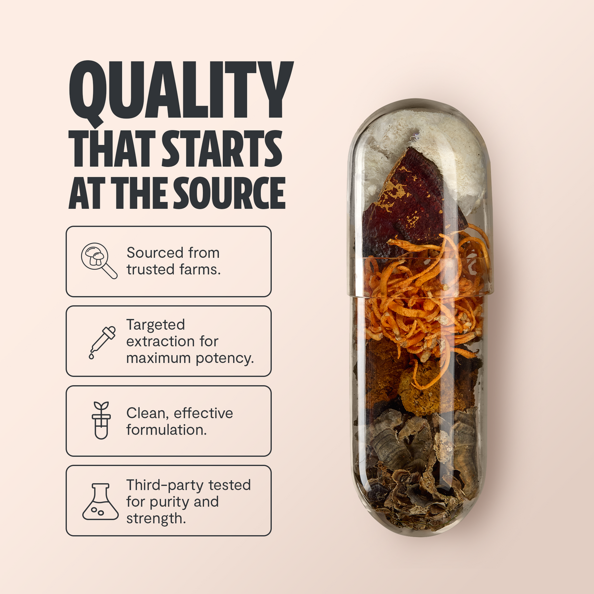 Organic Mushroom Complex Supplement Capsules Daily Wellness Formula