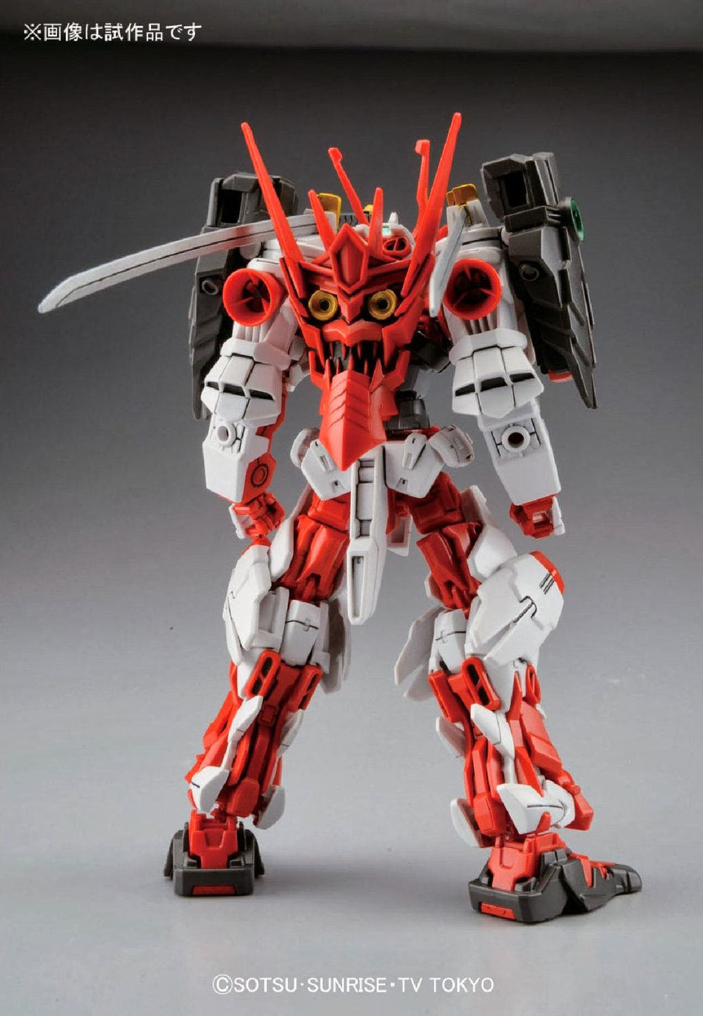 HG Sengoku Astray Gundam 1/144