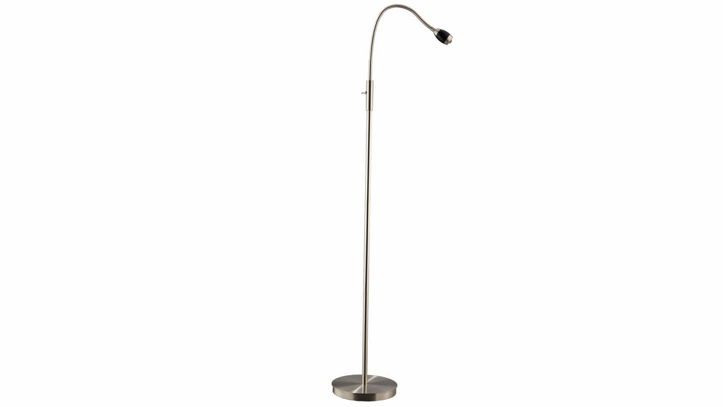 FOCUS Natural Daylight LED Adjustable Beam Floor Lamp