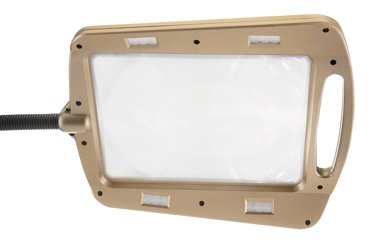 Full Page Magnifier Floor Lamp