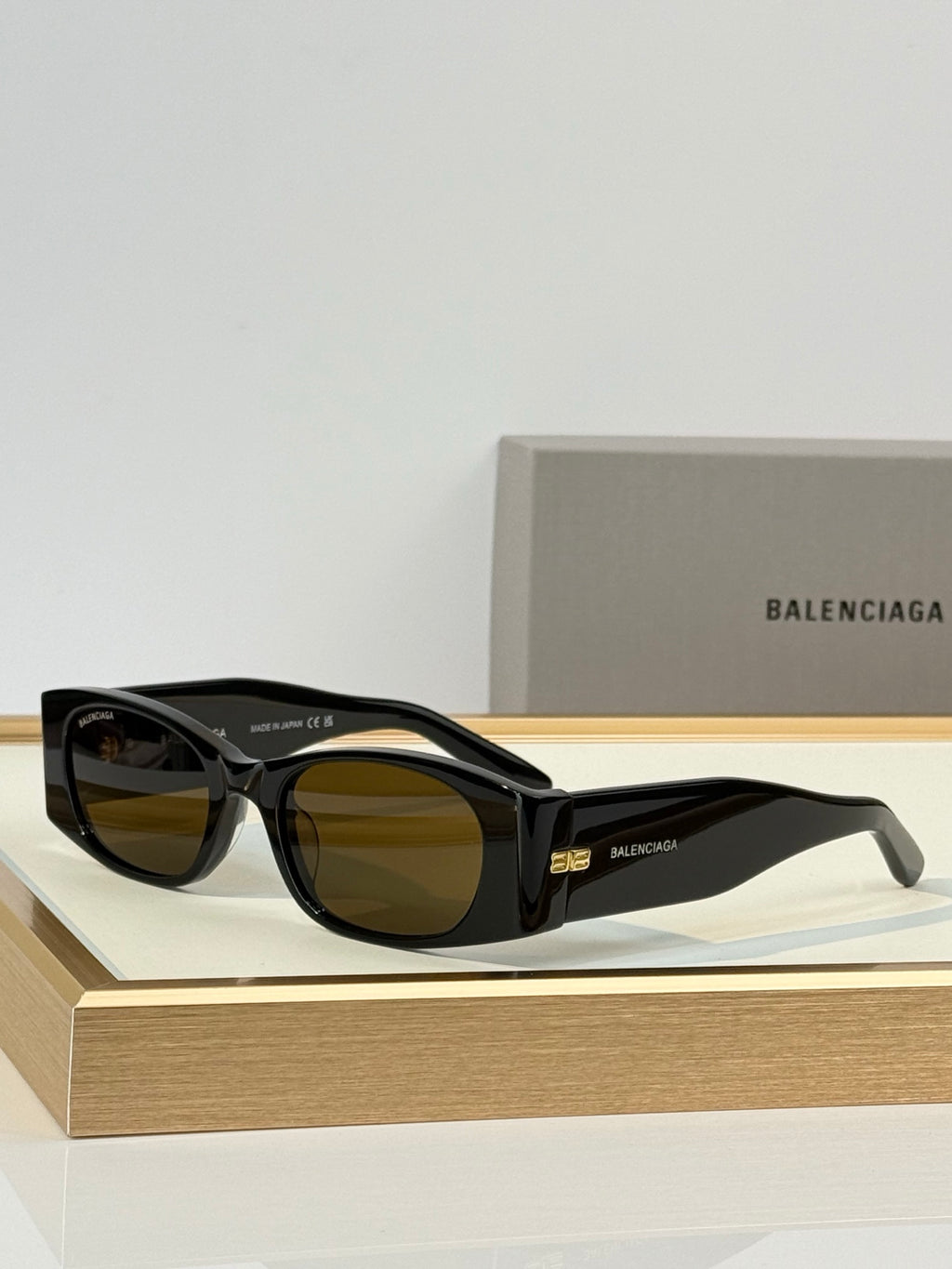 Balenciaga BB0096S Rectangle Acetate Sunglasses